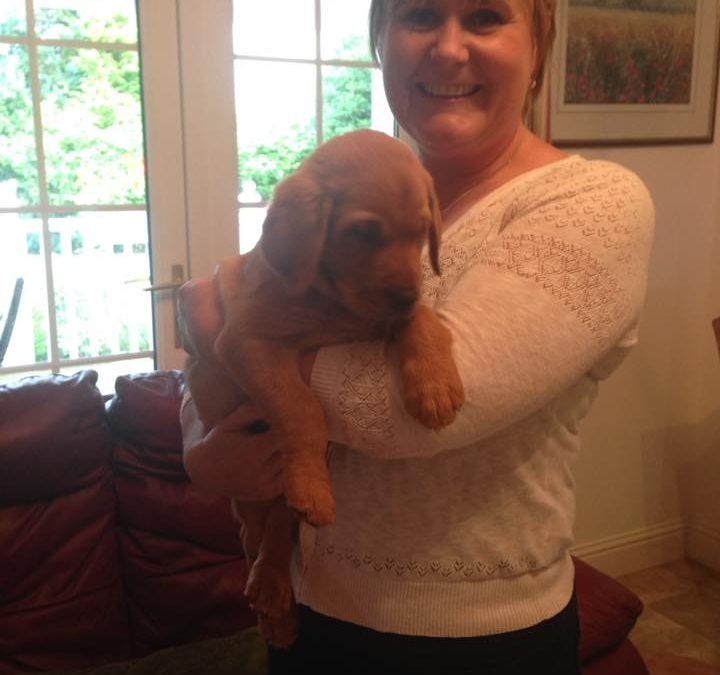 How to start making heathy changes in your life during lockdown and onwards.